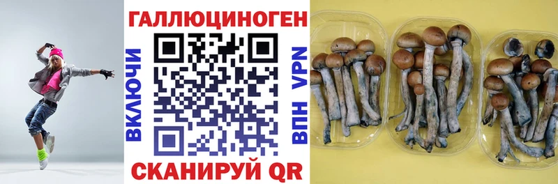 Галлюциногенные грибы мицелий  ссылка на мегу рабочий сайт  Болотное 